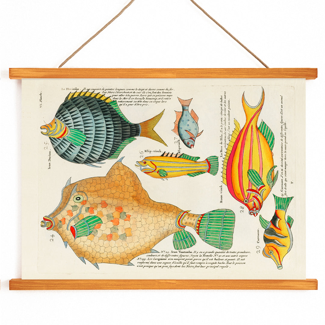 , with wooden magnetic frame on white background