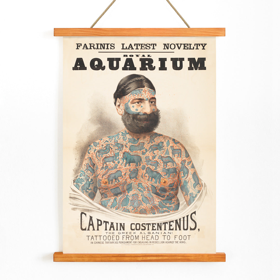 Tattooed man Captain Costentenus the Greek Albanian at The Royal Aquarium vintage poster artwork, with wooden magnetic frame on white background