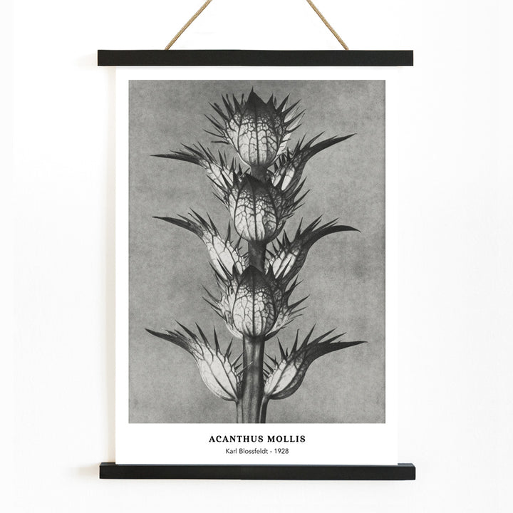 , with wooden magnetic frame on white background