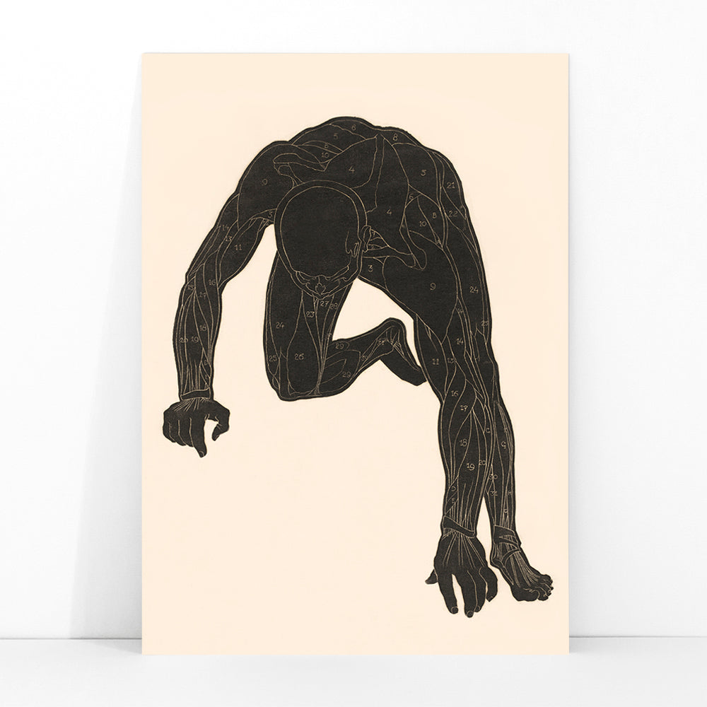 Anatomical illustration of human muscular anatomy and crouching figure from Neck Muscles by Reijer Stolk, framed and displayed in modern living room decor