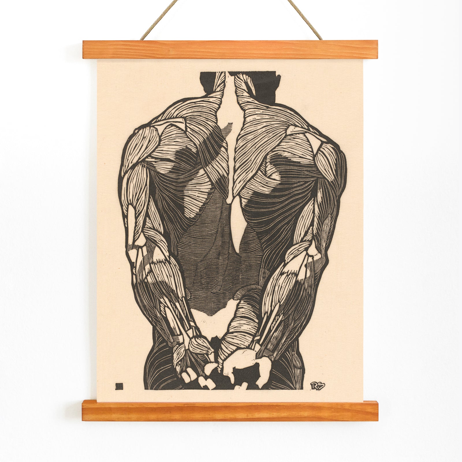 Detailed anatomical illustration of human back muscles artwork titled Back Muscles by Reijer Stolk with intricate linework, with wooden magnetic frame on white background