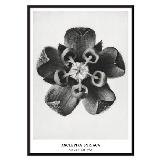 , with black aluminium frame on white background