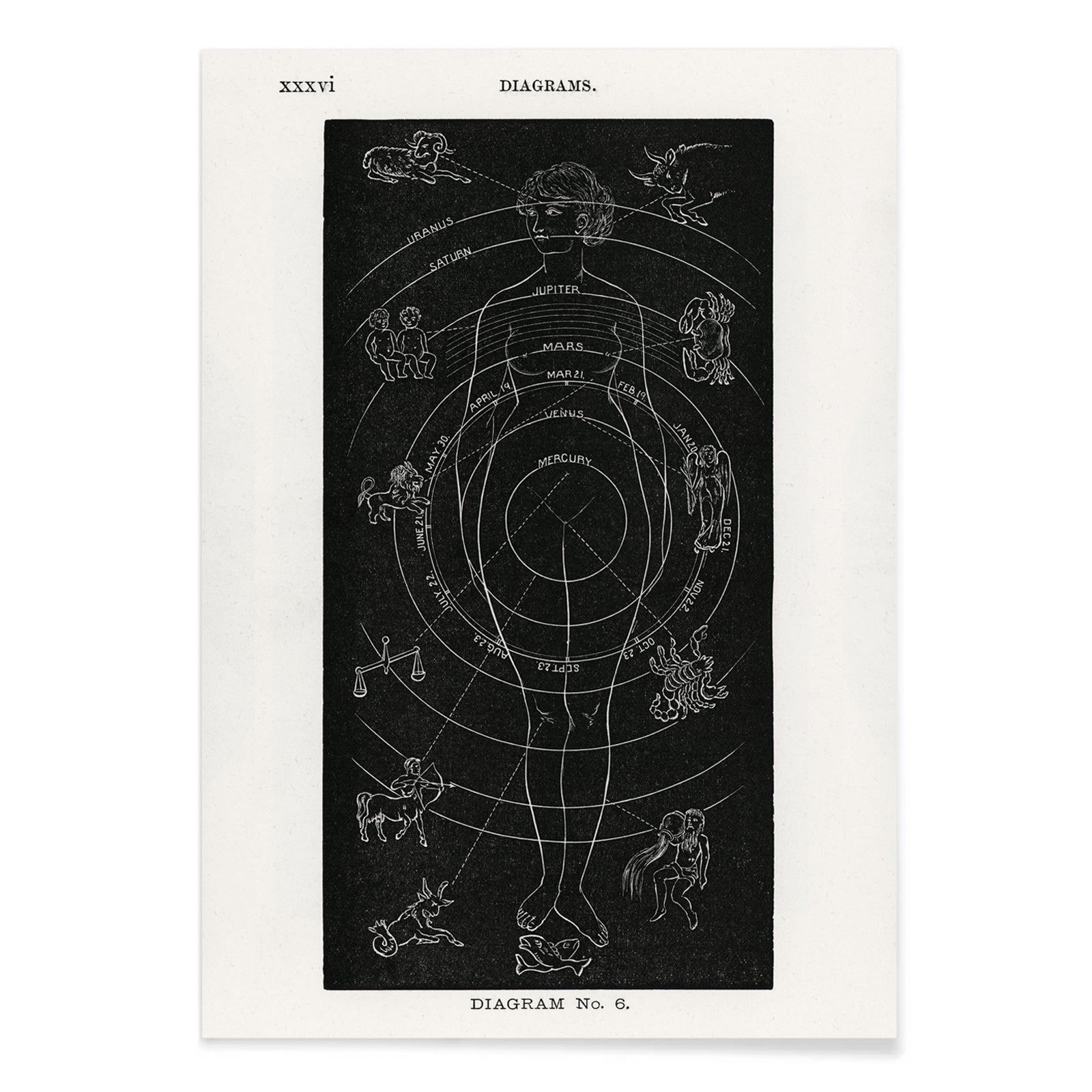 Astrological human body diagram and poster with zodiac signs planets and symbols by Hiram Erastus Butler from Solar Biology, with black aluminium frame on white background