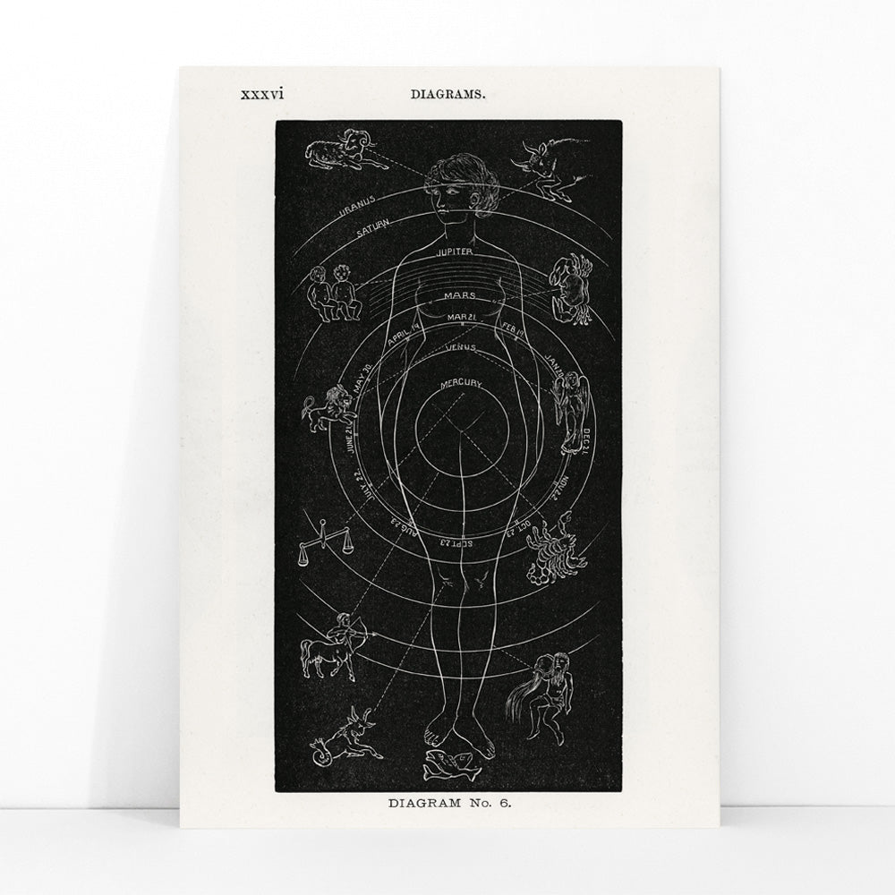 Astrological human body diagram and poster with zodiac signs planets and symbols by Hiram Erastus Butler from Solar Biology, framed and displayed in modern living room decor