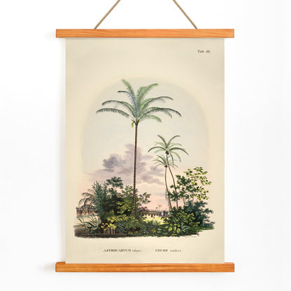 Astrocaryum vulgare botanical illustration and poster of tropical palm trees and lush green plants by Carl Friedrich Philipp von Martius, with wooden magnetic frame on white background