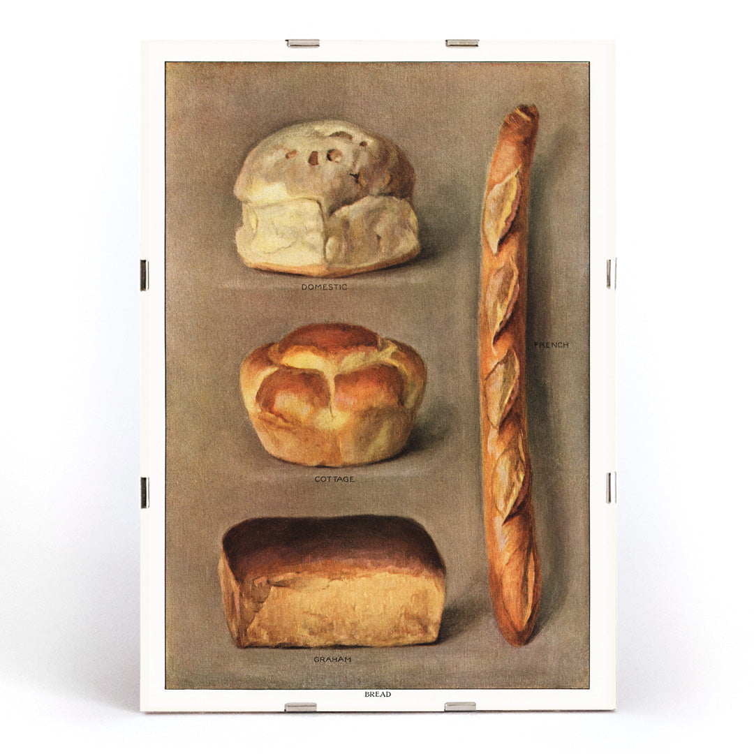 Assorted bread loaves including domestic cottage French and graham from The Grocers Encyclopedia vintage artwork collection of baked bread types poster, framed and displayed in modern living room decor