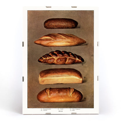 Vintage illustration and poster of assorted bread loaves from The Grocers Encyclopedia classic artwork, framed and displayed in modern living room decor