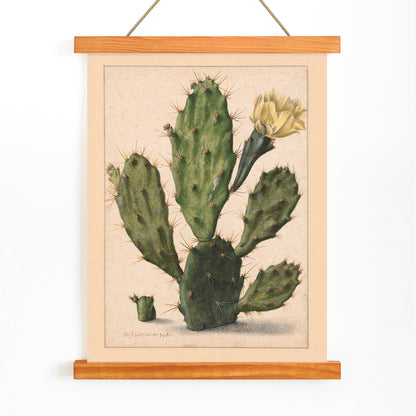 Pear Cactus in Bloom by Herman Saftleven botanical illustration and poster featuring a green cactus with a yellow flower on a neutral background, with wooden magnetic frame on white background