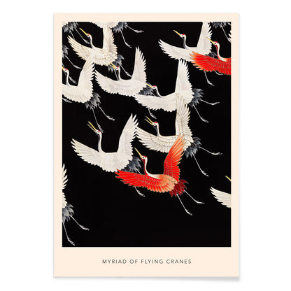 Furisode with a Myriad of Flying Cranes traditional Japanese artwork poster featuring elegant white and red cranes in flight on a black background, with black aluminium frame on white background