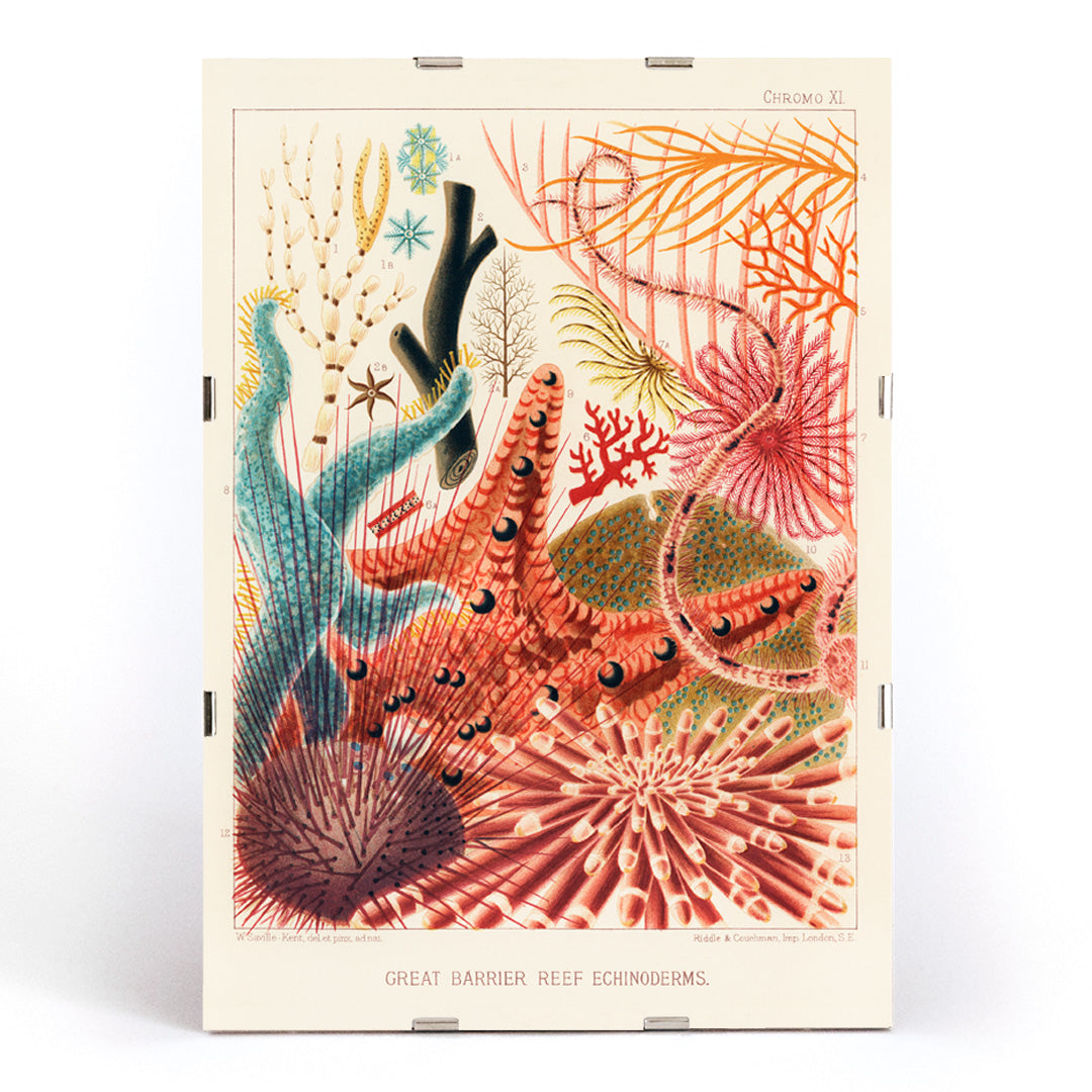 , framed and displayed in modern living room decor