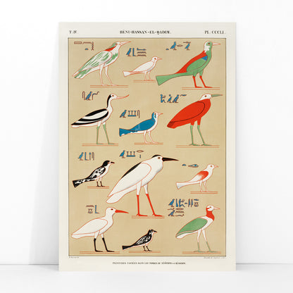 Colorful ancient Egyptian birds illustration poster inspired by paintings from the tombs of Nevoethph and Menothph by Jean Francois Champollion, framed and displayed in modern living room decor