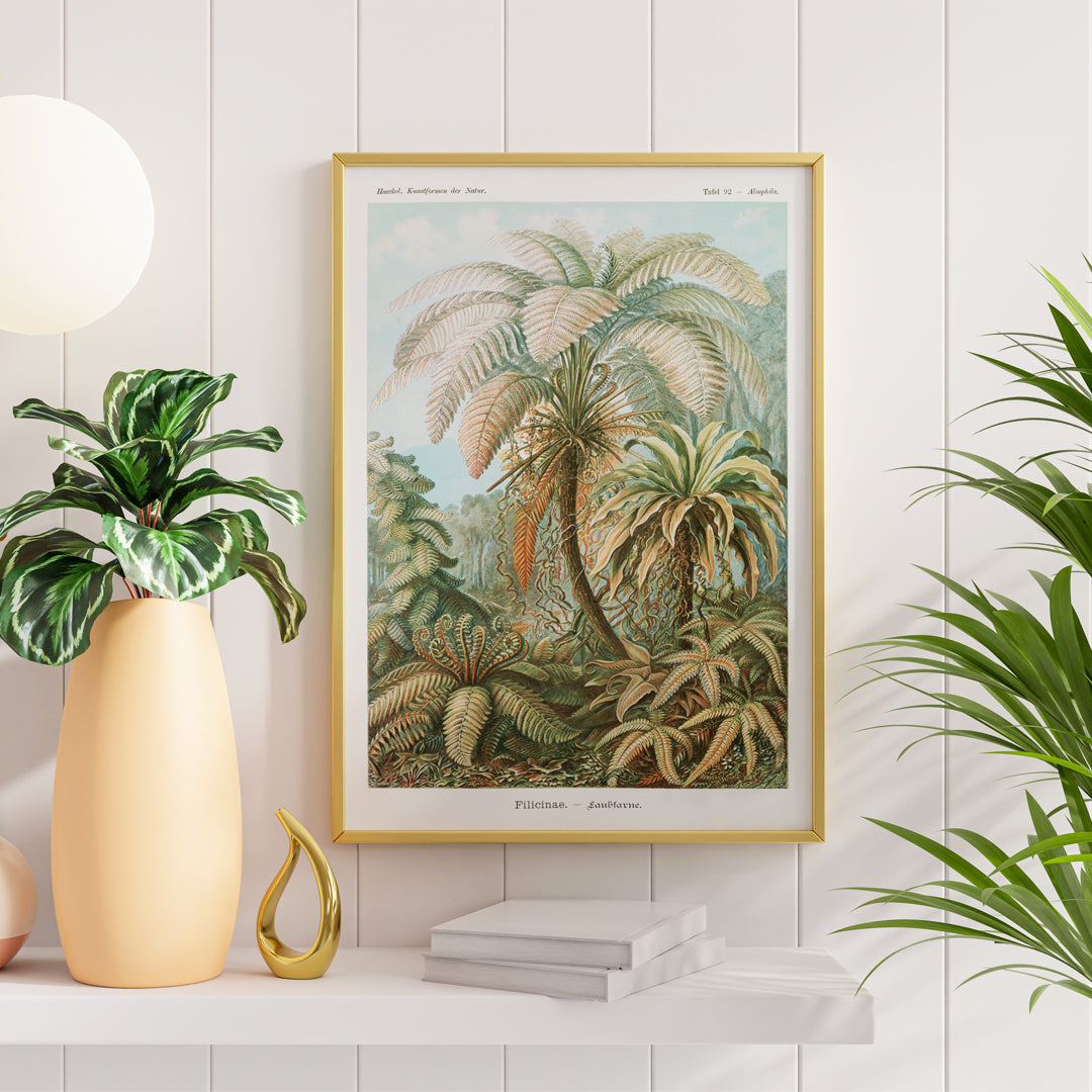 Detailed illustration and poster of ferns and lush foliage from Filicinae Laubfarne by Ernst Haeckel with botanical patterns, framed and displayed in home decor