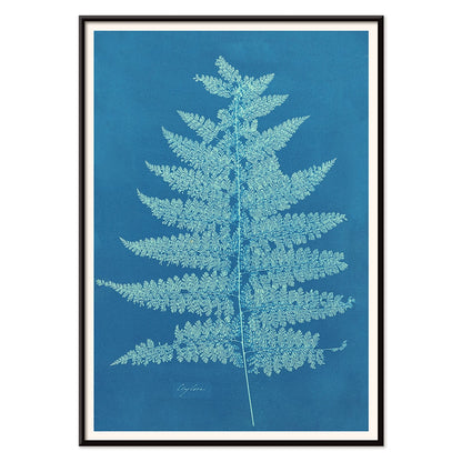 Fern Cianotipia botanical cyanotype artwork by Anna Atkins showing a detailed fern against a blue background poster, with black aluminium frame on white background