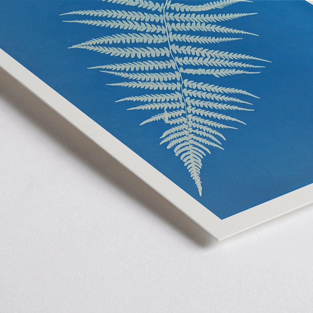 Closeup detail of Cyanotype artwork poster of Woodwardia virginica fern by Anna Atkins with blue background