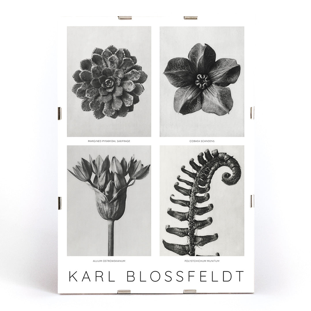 , framed and displayed in modern living room decor