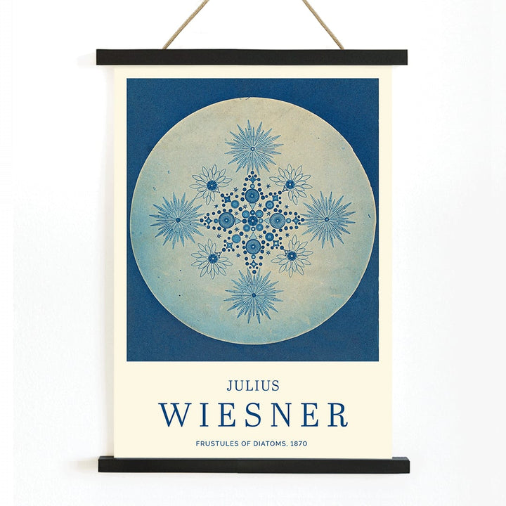 Frustules of Diatoms cyanotype artwork and poster by Julius Wiesner featuring intricate blue diatom designs on a circular background, with wooden magnetic frame on white background