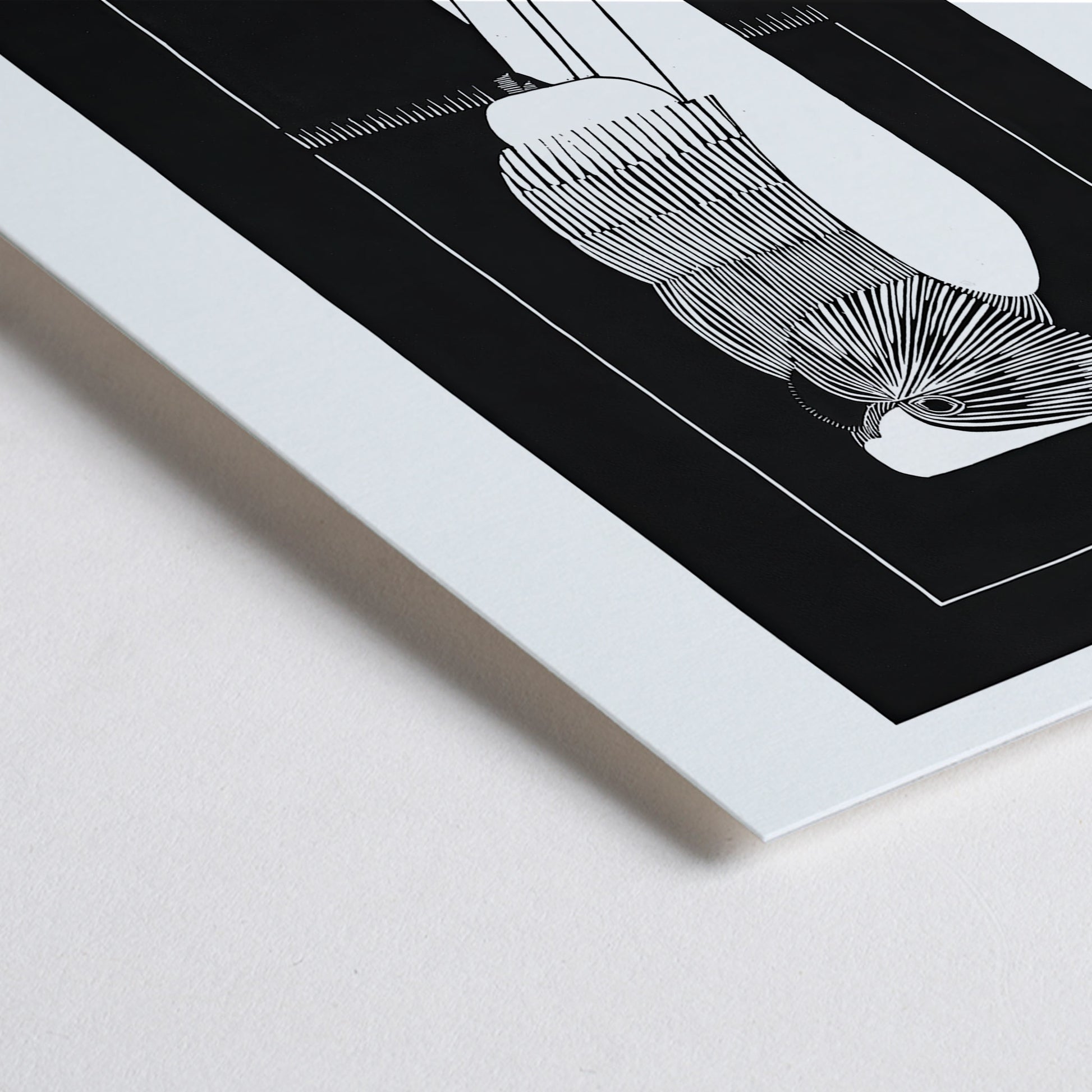 Closeup detail of Black and white sulphur crested cockatoo fine art print and stylized poster by Samuel Jessurun de Mesquita