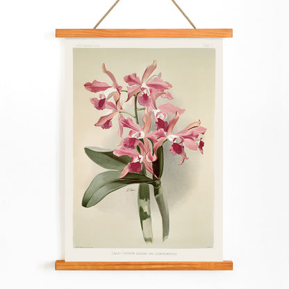 , with wooden magnetic frame on white background