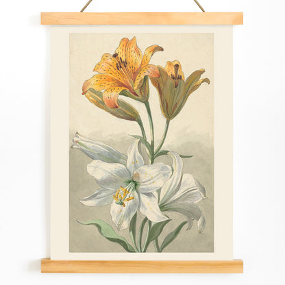Yellow and white lilies botanical art by Willem van Leen poster floral artwork illustration, with wooden magnetic frame on white background