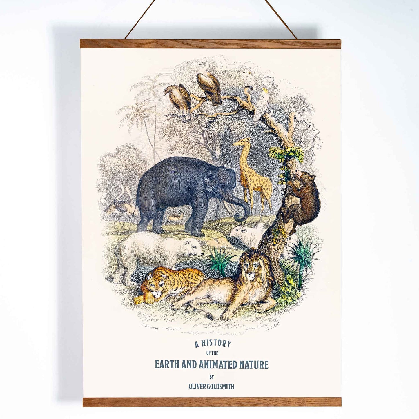 Wild animals and birds illustrated on the cover of A history of the earth and animated nature by Oliver Goldsmith poster, with wooden magnetic frame on white background
