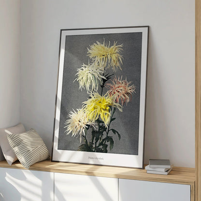 Hand colored floral collotype and poster of vibrant chrysanthemums from Namichidori by Kazumasa Ogawa showing soft shaded hand colored floral artwork, framed and displayed in modern living room decor