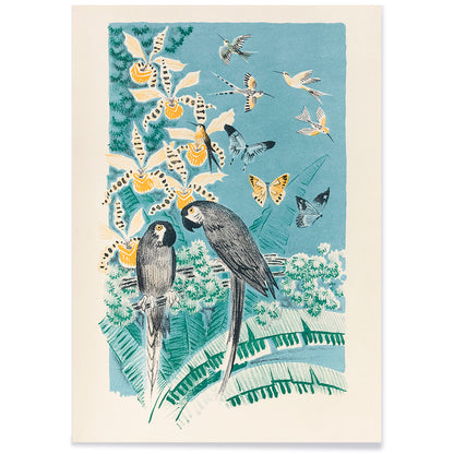 Colorful parrots butterflies and birds in a lush tropical garden illustration from Douze contes de Paris et de Provence by Paul Arène, with black aluminium frame on white background