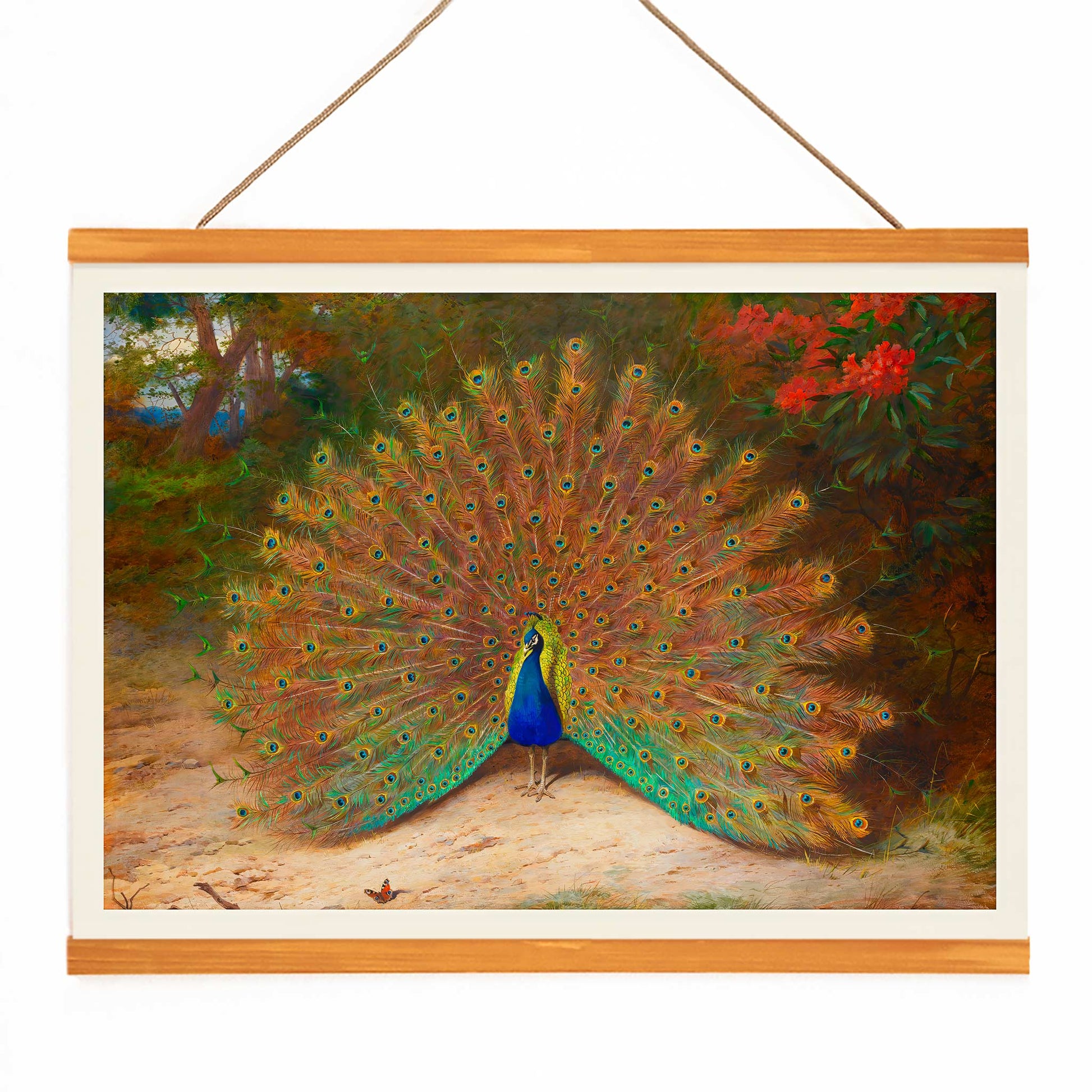 Colorful peacock with open feathers and butterfly in garden art poster vibrant tail feathers natural setting artwork Peacock And Peacock Butterfly by Archibald Thorburn, with wooden magnetic frame on white background
