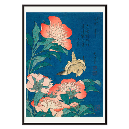 Peonies and canary by Katsushika Hokusai featuring a canary bird among blooming peonies with blue background artwork poster, with black aluminium frame on white background