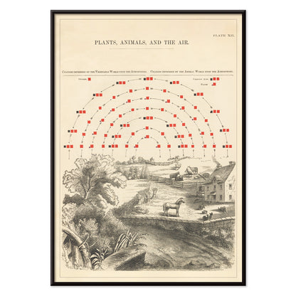 , with black aluminium frame on white background