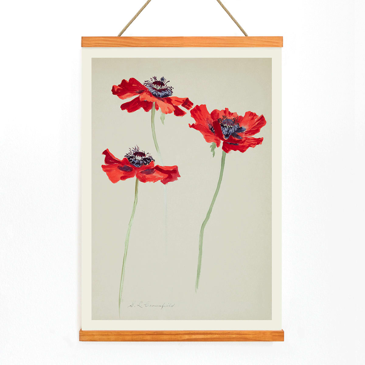 Three Studies of Poppies by Sophia Crownfield poster featuring vibrant red poppies on delicate stems and a light background artwork, with wooden magnetic frame on white background