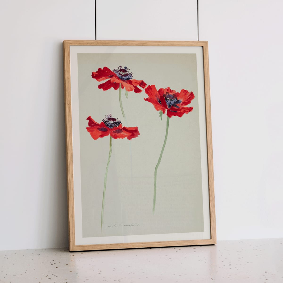 Three Studies of Poppies by Sophia Crownfield poster featuring vibrant red poppies on delicate stems and a light background artwork, framed and displayed in home decor