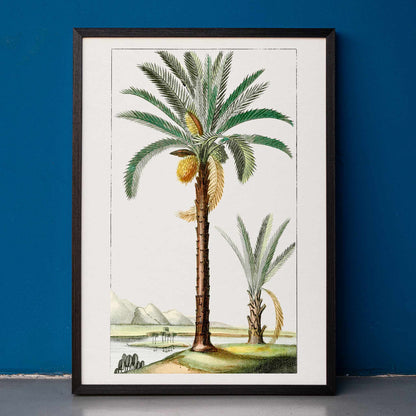 Hand drawn palm tree art print poster with detailed leaves and landscape background, framed and displayed in home decor