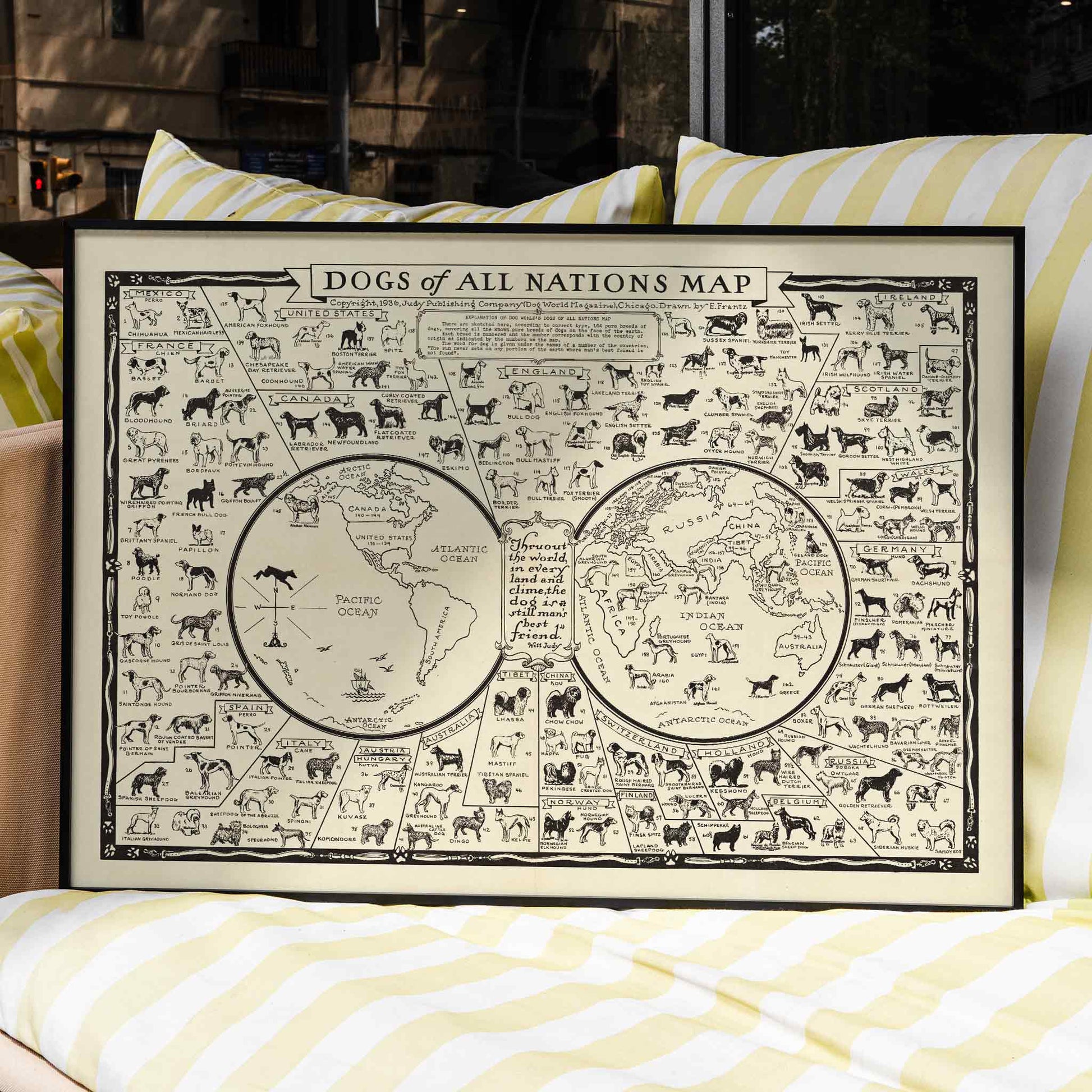 Dogs of All Nations Map by Frantz E illustrated poster featuring various dog breeds from around the world, framed and displayed in home decor