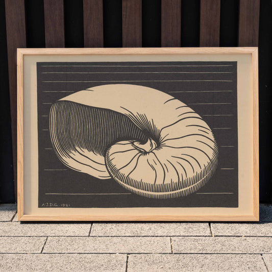 Black and white and beige shell illustration by Julie de Graag linocut artwork poster perfect for art and nature lovers, framed and displayed in home decor
