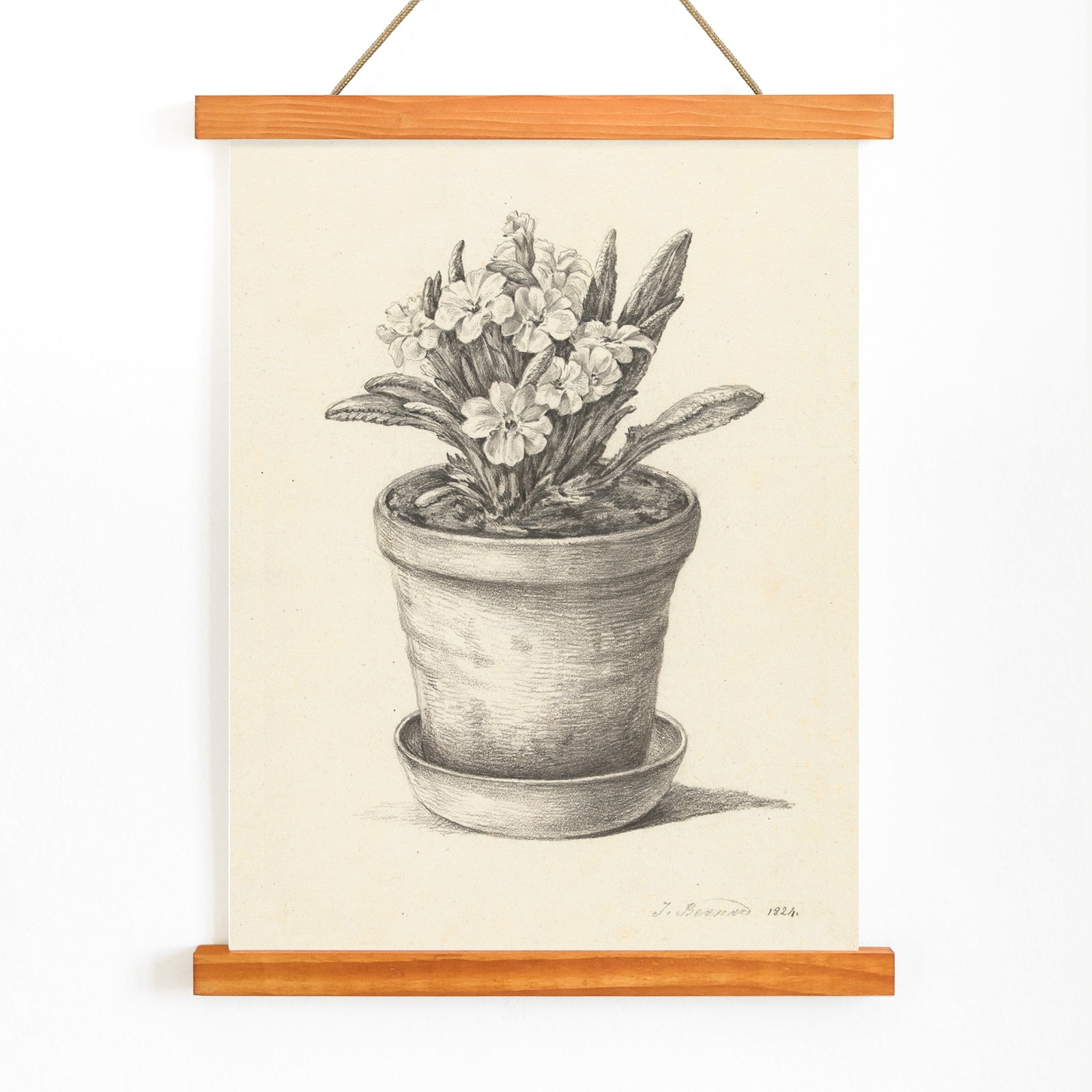 Black and white pencil drawing poster of a flowering plant in a clay pot titled Potplant by Jean Bernard, with wooden magnetic frame on white background