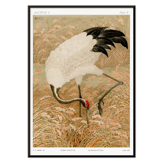 Sarus crane standing in a rice field artwork by Samarai and The Ornamental Arts Of Japan, with black aluminium frame on white background