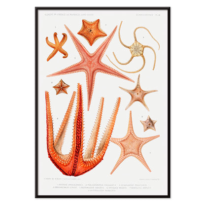 , with black aluminium frame on white background