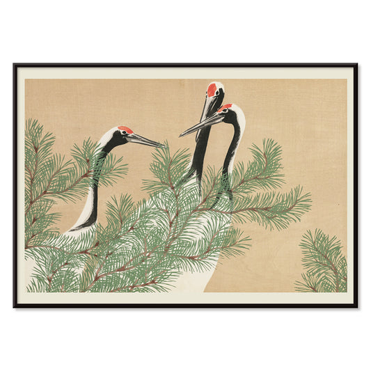 , with black aluminium frame on white background