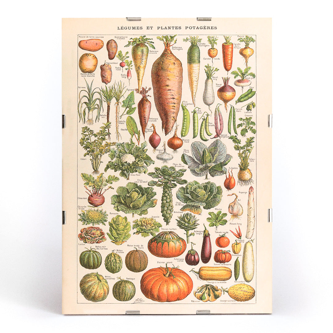 , framed and displayed in modern living room decor