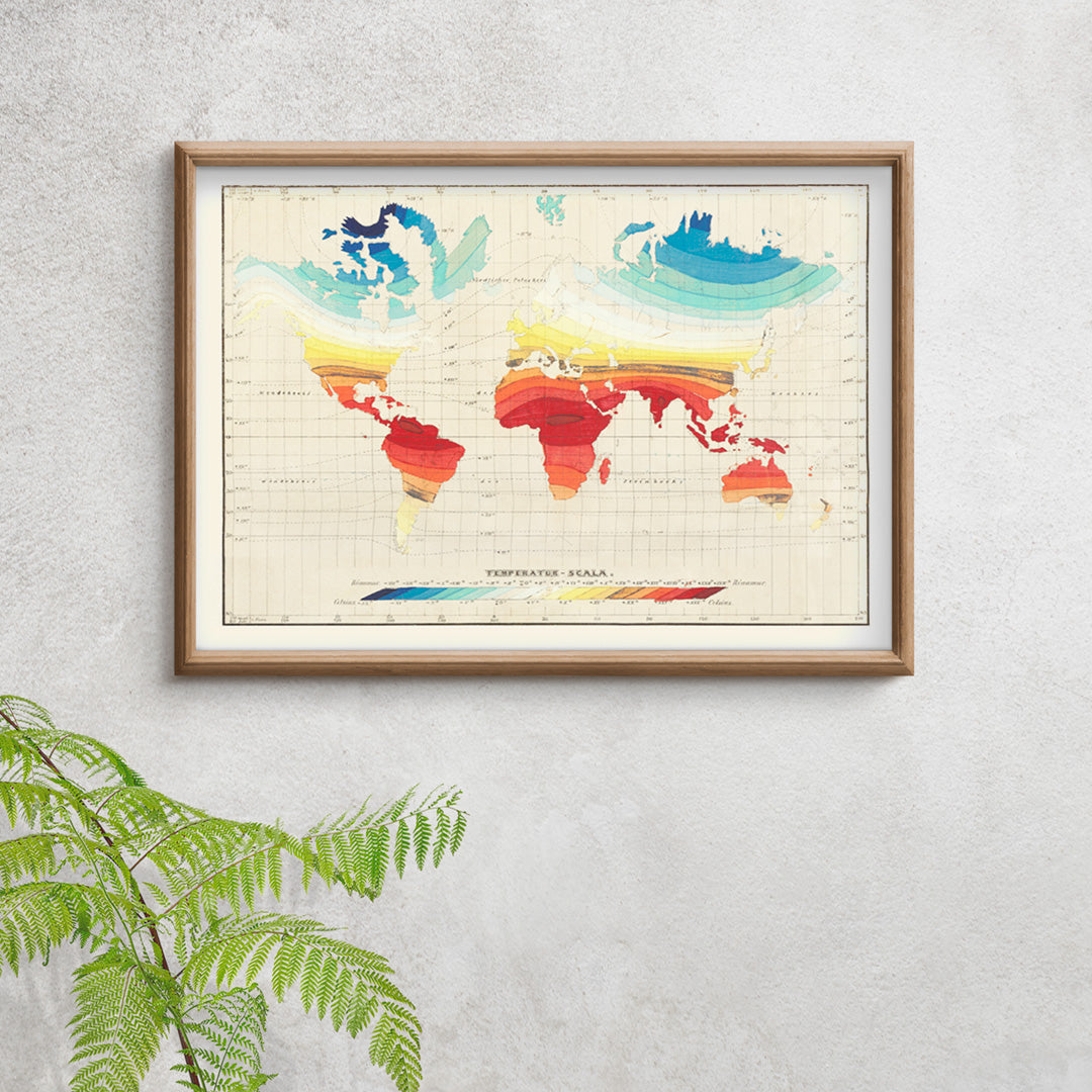 Colorful vintage world map of global climate and temperature zones by Wilhelm Ebel, framed and displayed in home decor